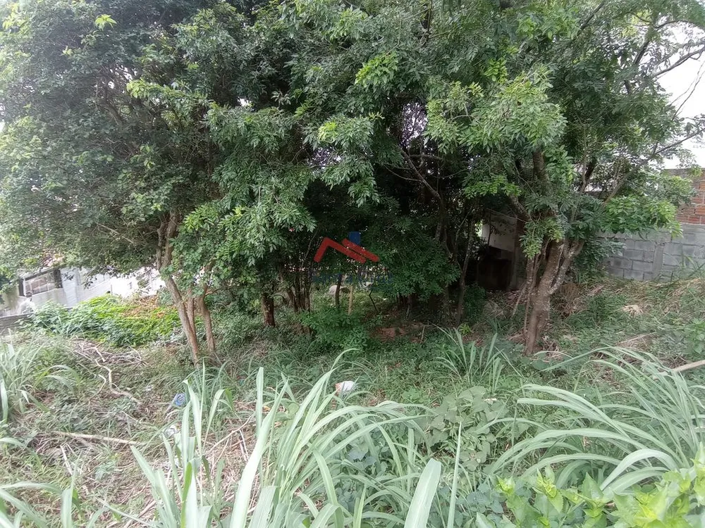 Terreno, 480 m² - Foto 9