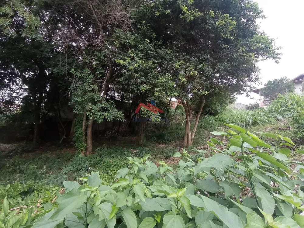 Terreno, 480 m² - Foto 4