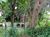 Terreno, 480 m² - Foto 4