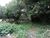 Terreno, 480 m² - Foto 3