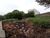 Terreno, 480 m² - Foto 2