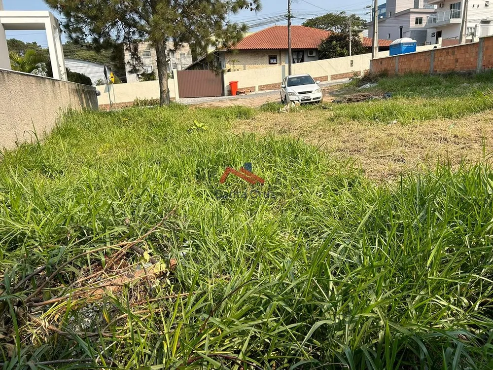 Terreno, 450 m² - Foto 3