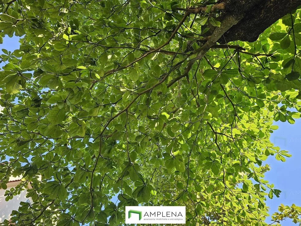 Apartamento, 3 quartos, 71 m² - Foto 19