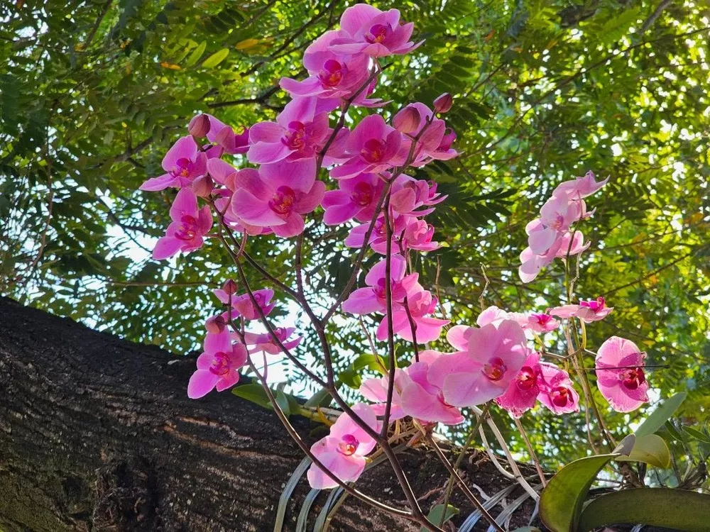 Apartamento, 3 quartos, 71 m² - Foto 16