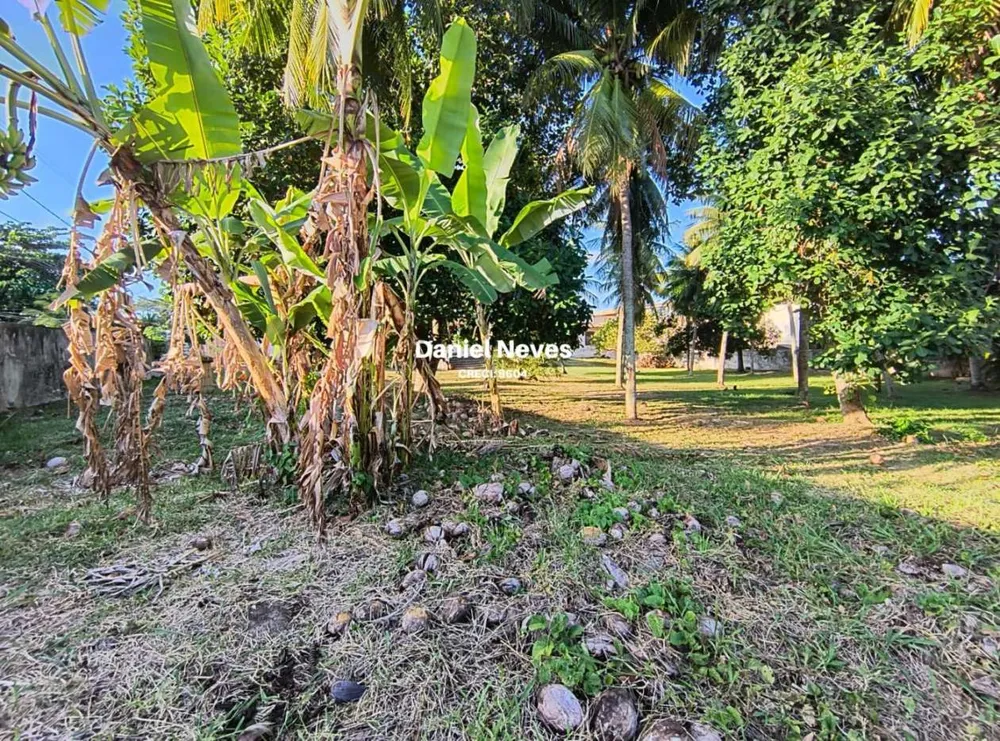 Terreno, 3645 m² - Foto 11