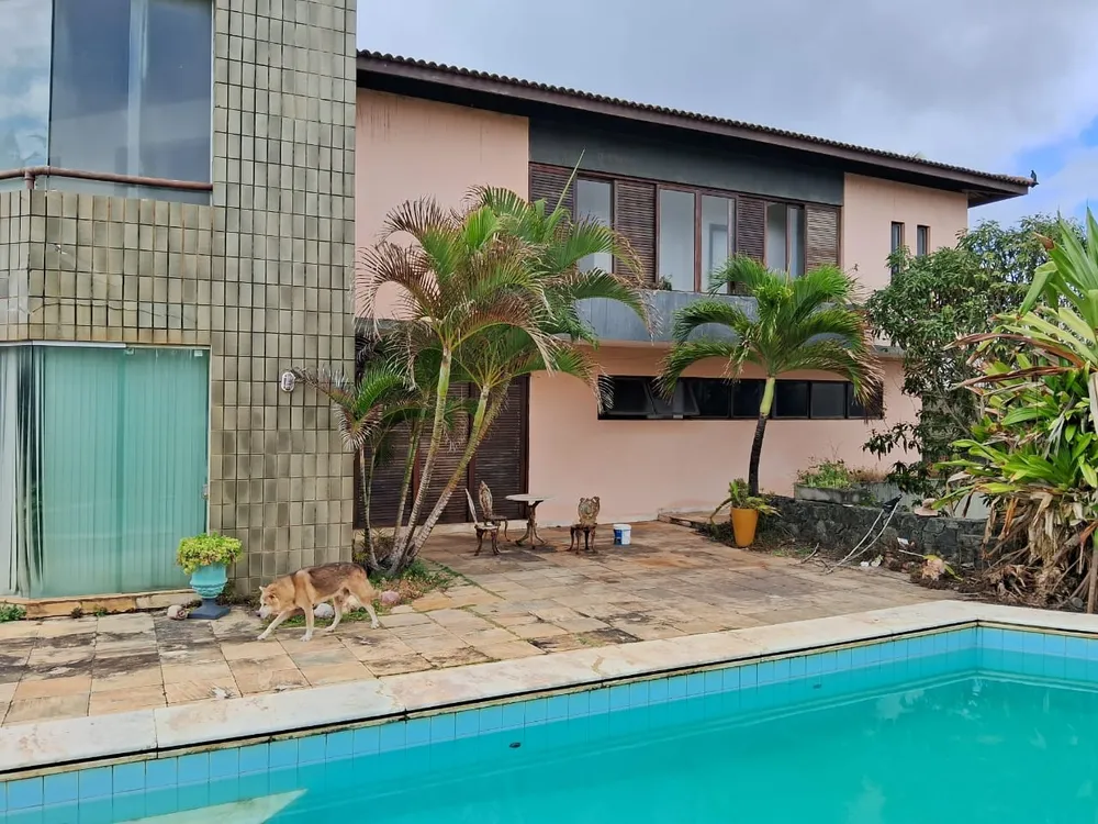 Casa, 5 quartos, 300 m² - Foto 11