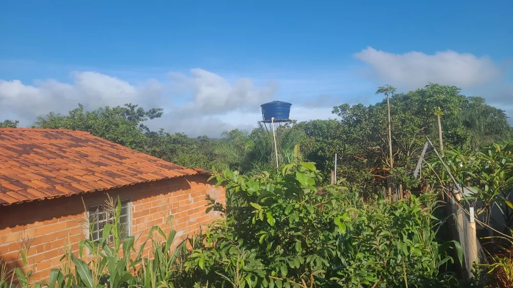 Chácara, 5000 m² - Foto 4