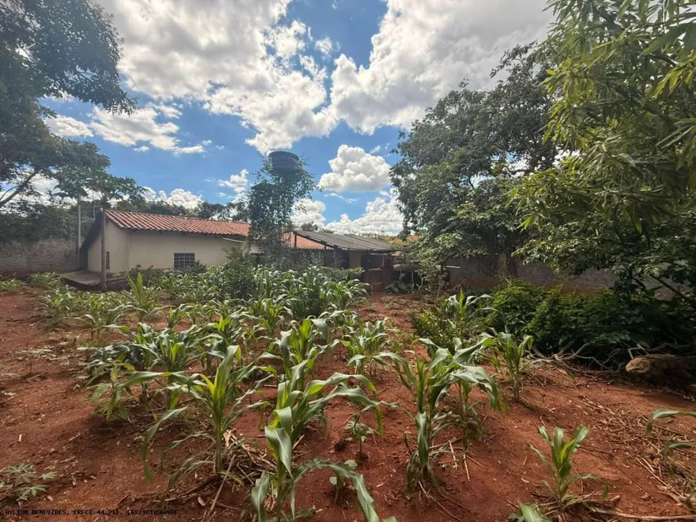 Chácara, 4 quartos, 4000 m² - Foto 6