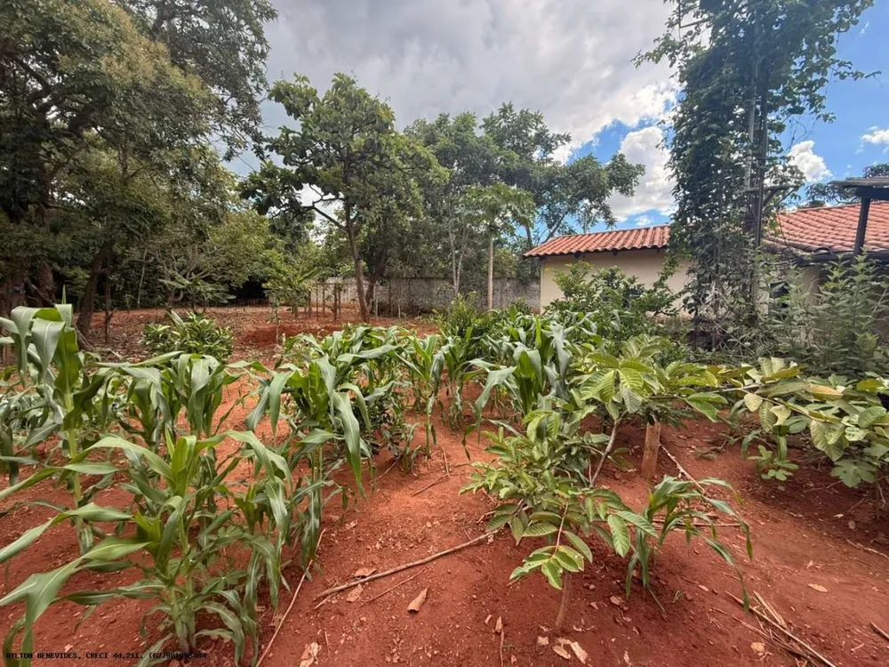 Chácara, 4 quartos, 4000 m² - Foto 3