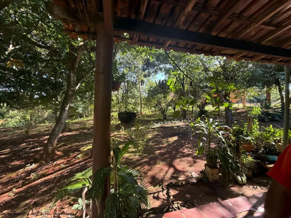 Chácara, 4 hectares - Foto 12