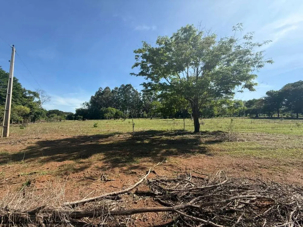 Chácara, 4 hectares - Foto 13