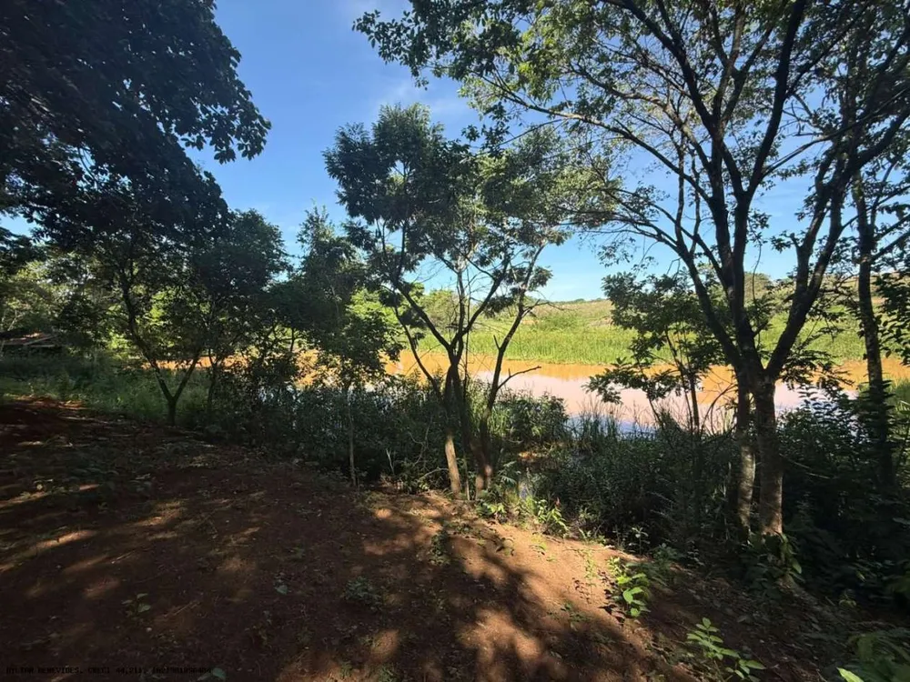 Chácara, 4 hectares - Foto 11