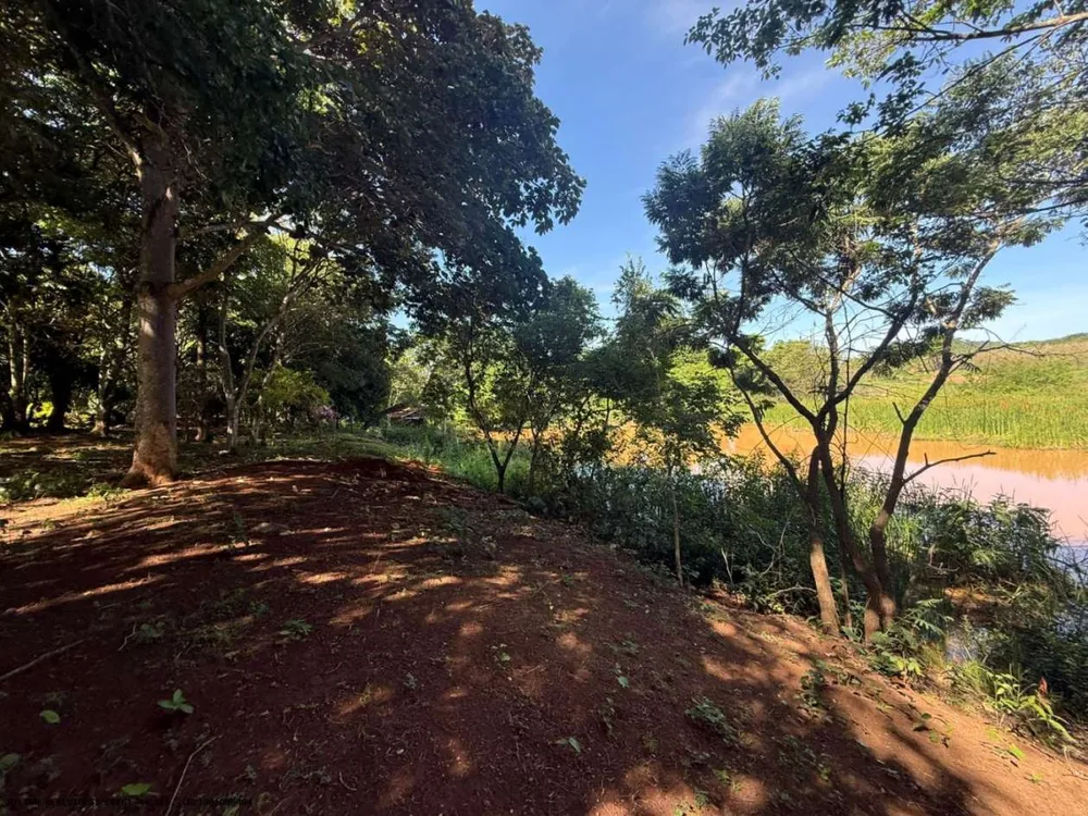 Chácara, 4 hectares - Foto 9