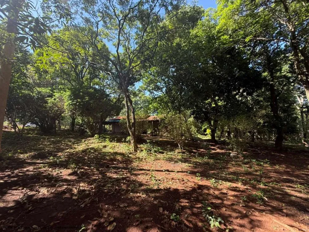 Chácara, 4 hectares - Foto 1