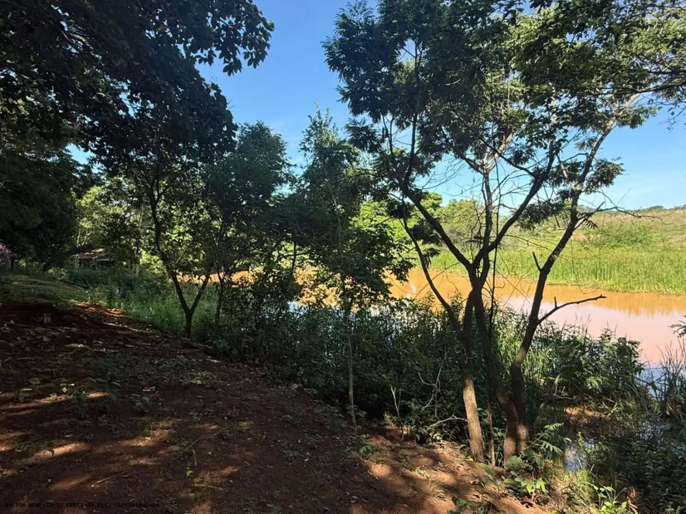 Chácara, 4 hectares - Foto 8
