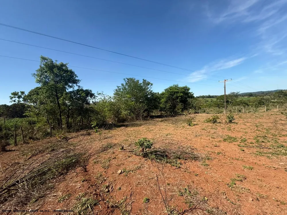 Chácara, 4 hectares - Foto 4