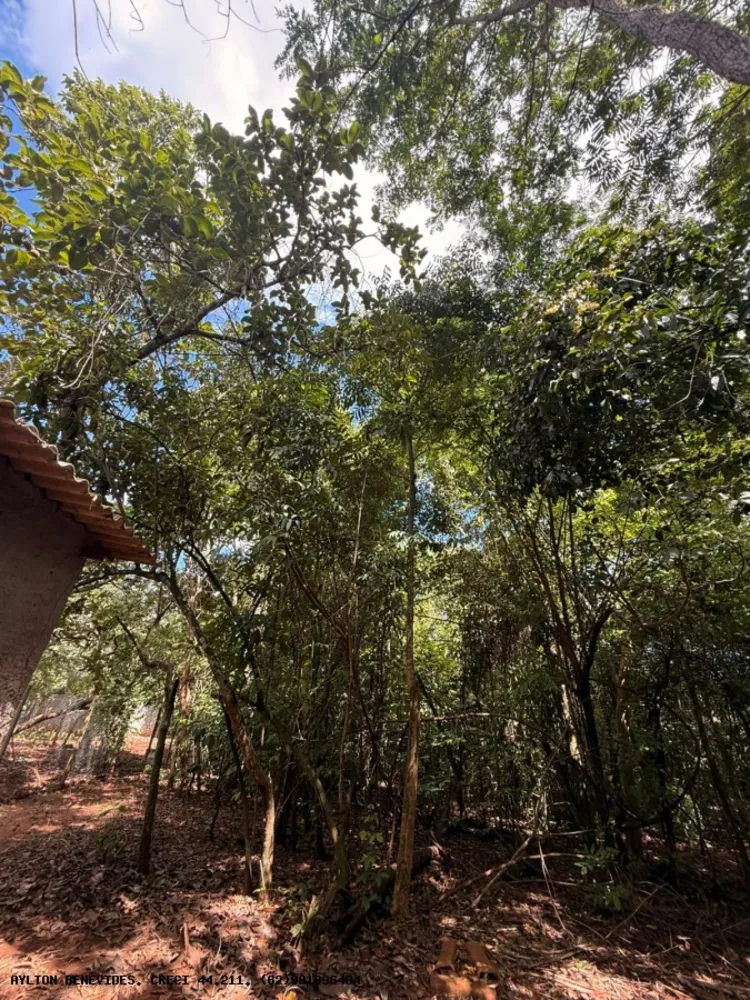Chácara, 6 quartos, 4000 m² - Foto 3