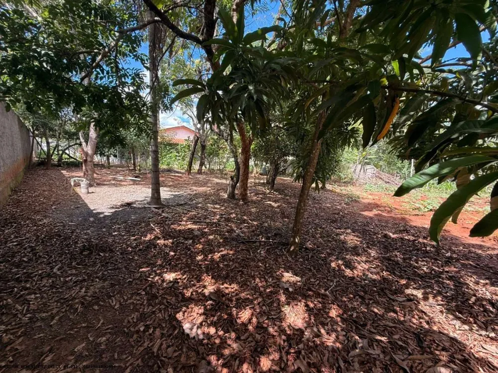 Chácara, 6 quartos, 4000 m² - Foto 5