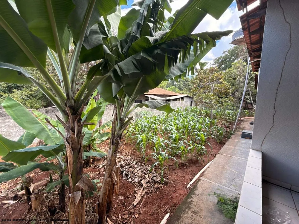 Chácara, 6 quartos, 4000 m² - Foto 14