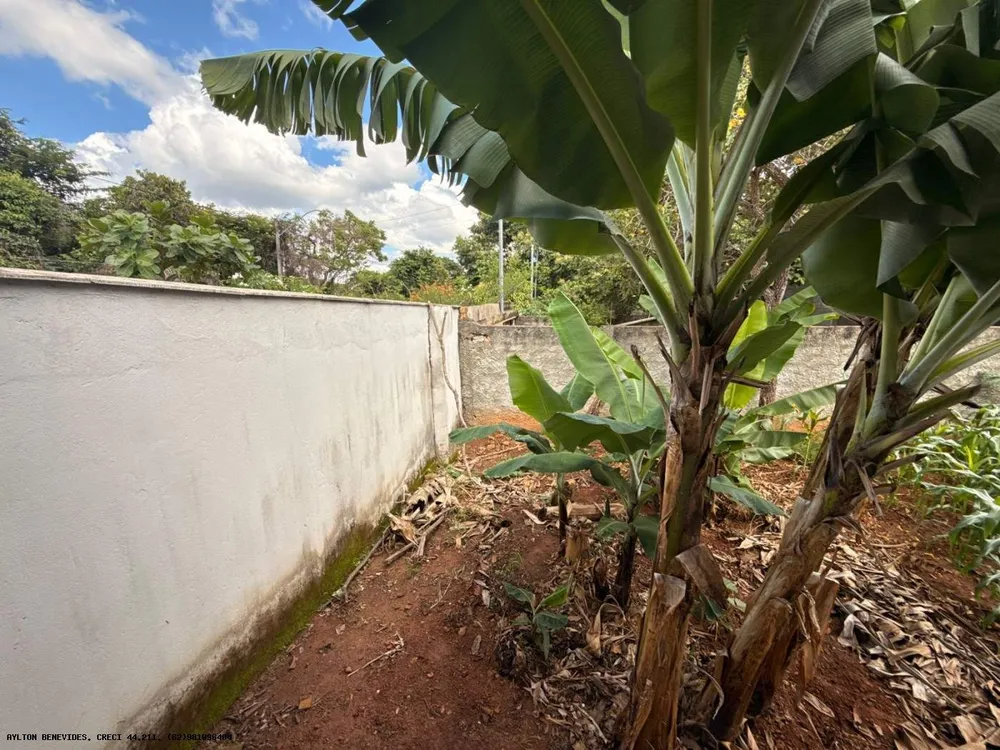 Chácara, 6 quartos, 4000 m² - Foto 13