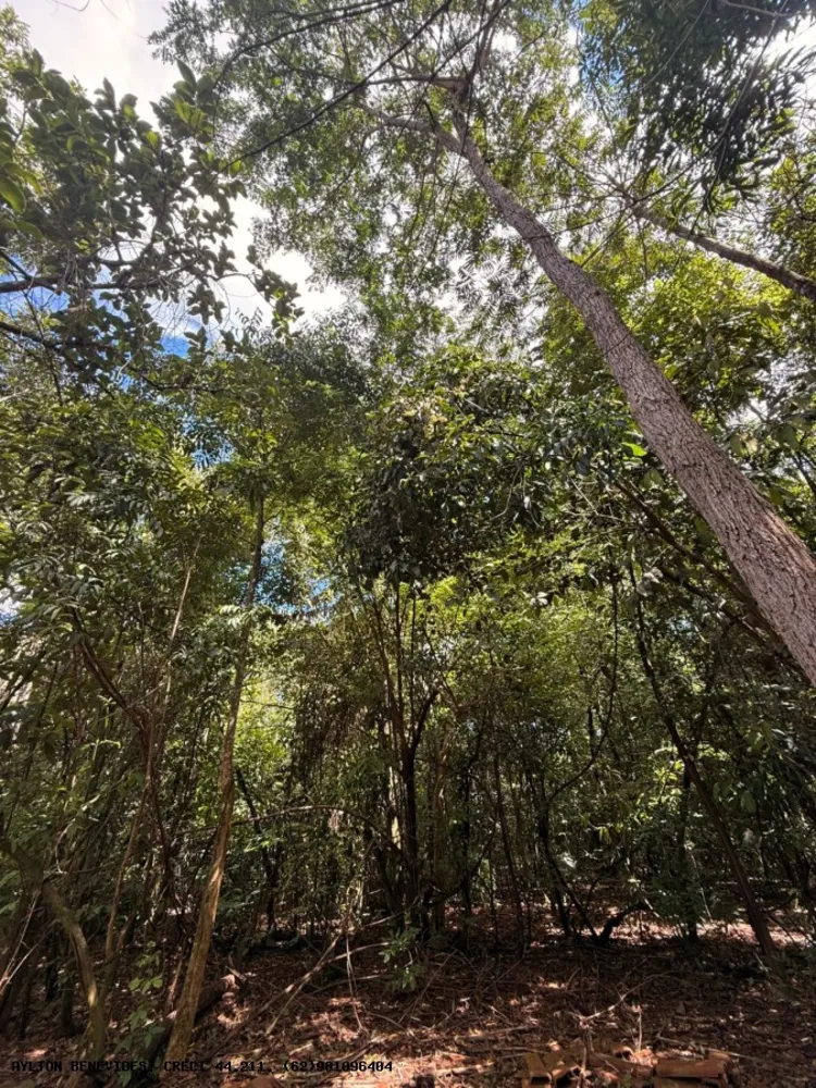 Chácara, 6 quartos, 4000 m² - Foto 2