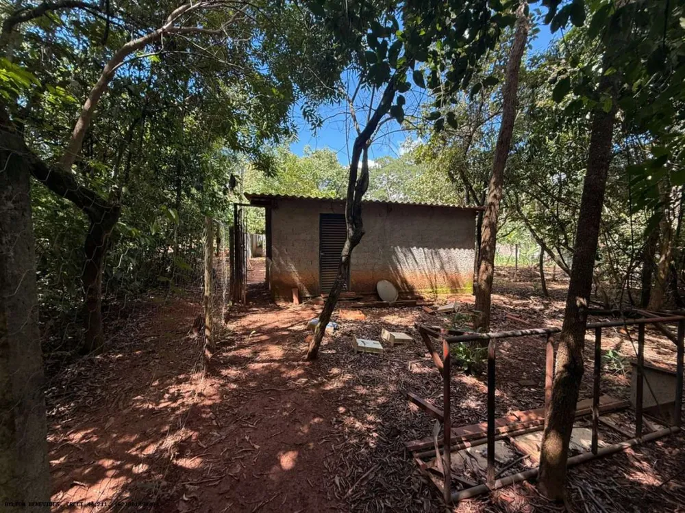 Chácara, 6 quartos, 4000 m² - Foto 16