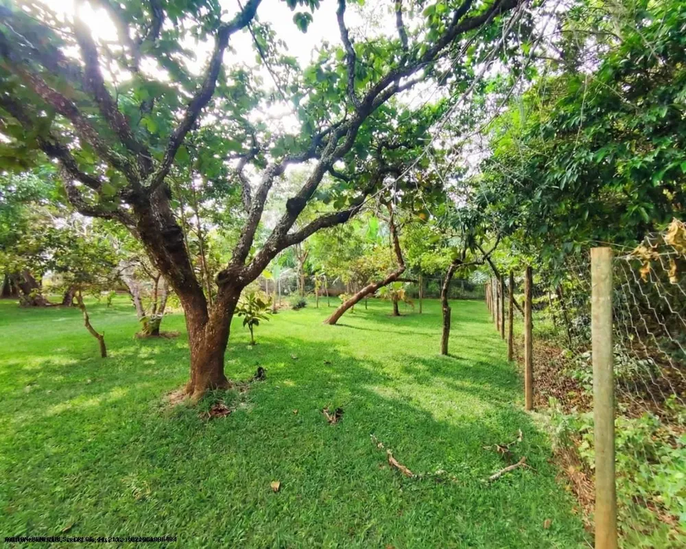 Chácara, 6 quartos, 4000 m² - Foto 2