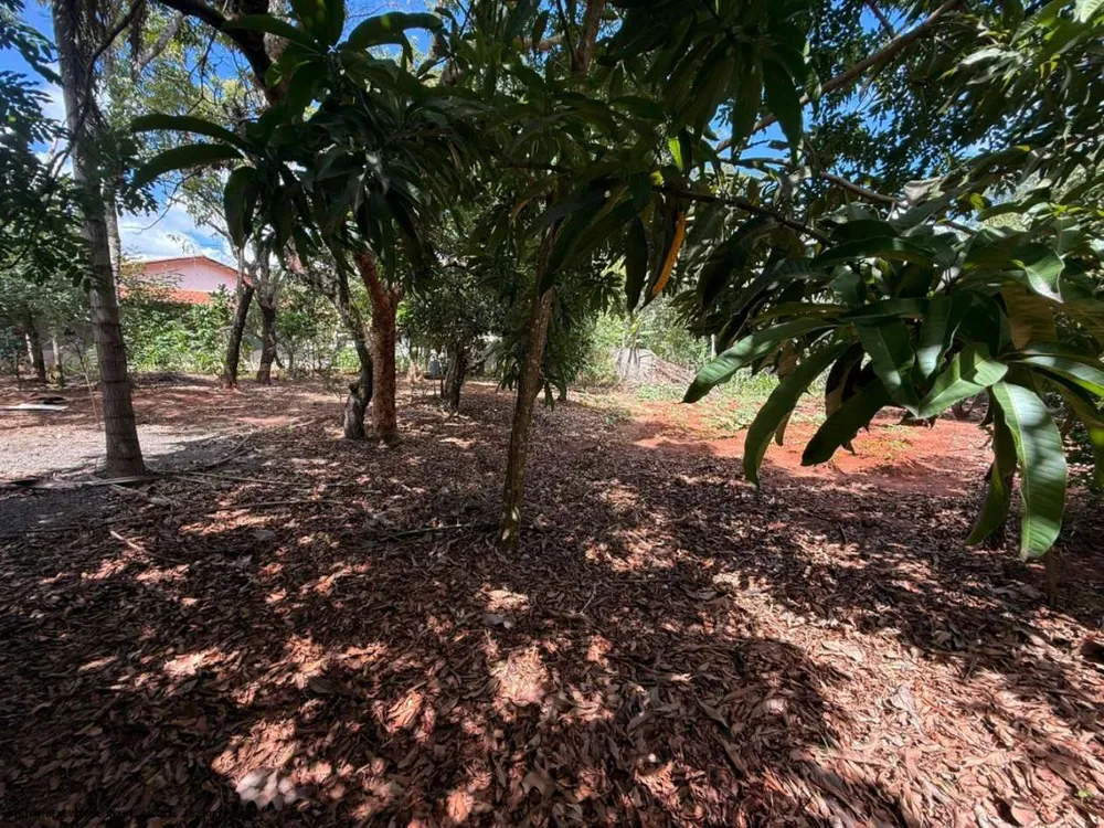 Chácara, 6 quartos, 4000 m² - Foto 4