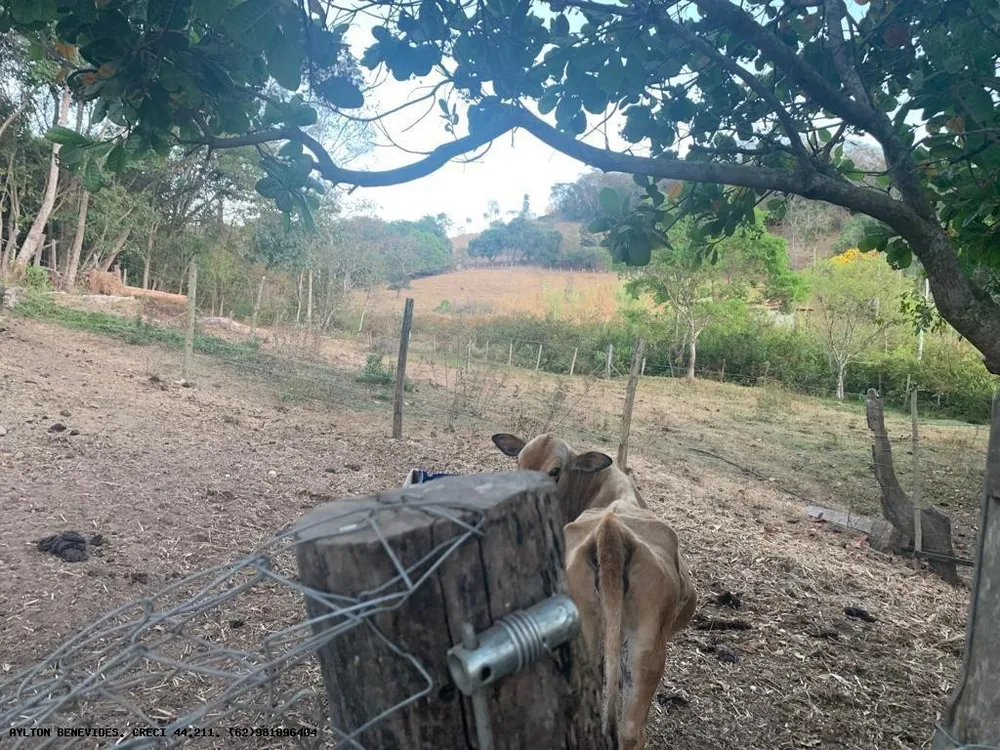 Chácara, 2 hectares - Foto 1