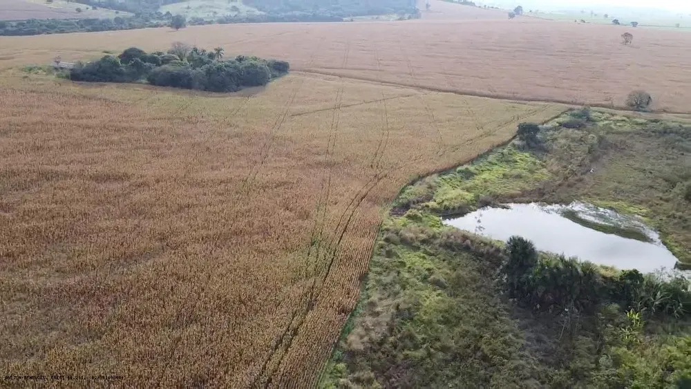 Fazenda, 252 hectares - Foto 11
