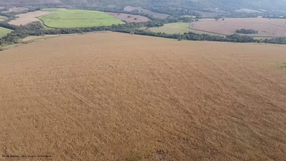 Fazenda, 252 hectares - Foto 13