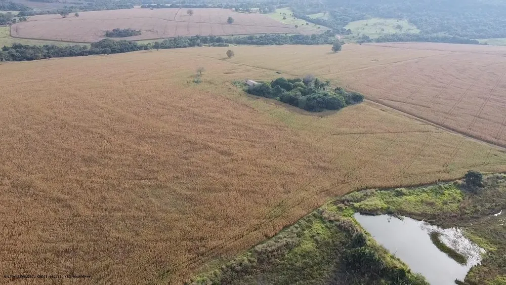 Fazenda, 252 hectares - Foto 9