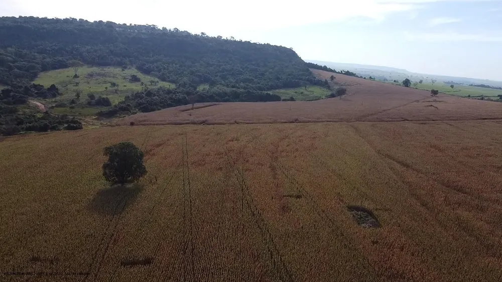 Fazenda, 252 hectares - Foto 6