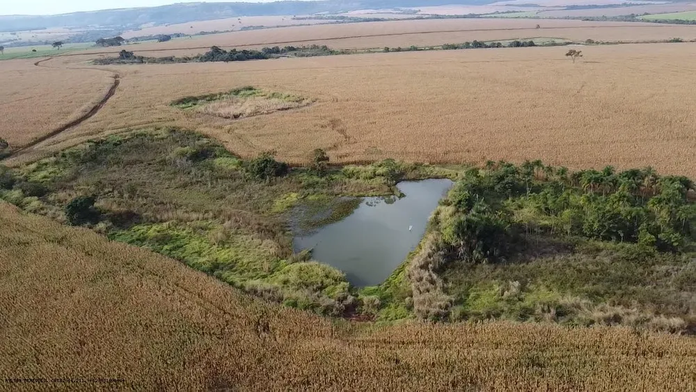 Fazenda, 252 hectares - Foto 10