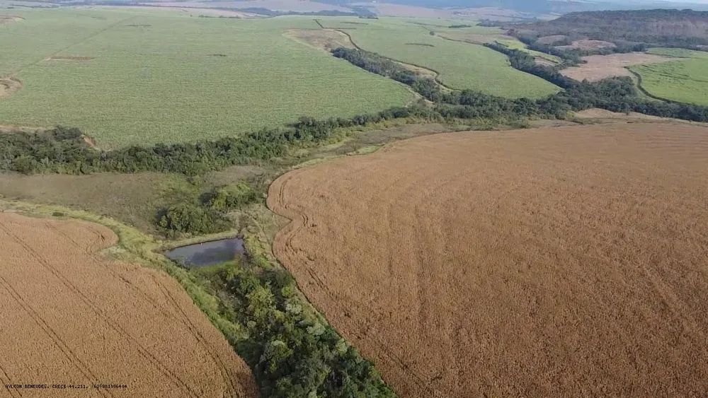 Fazenda, 252 hectares - Foto 12