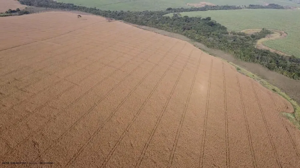 Fazenda, 252 hectares - Foto 17