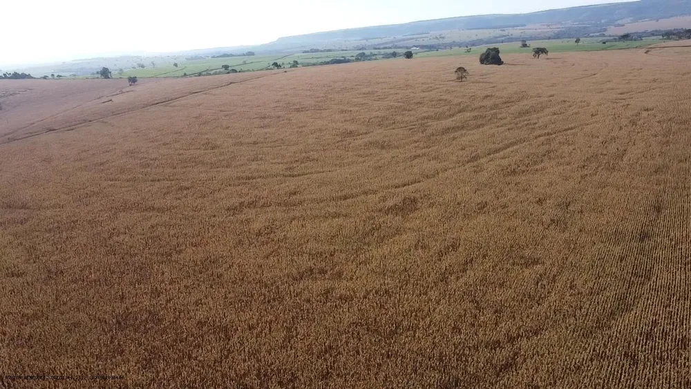 Fazenda, 252 hectares - Foto 3