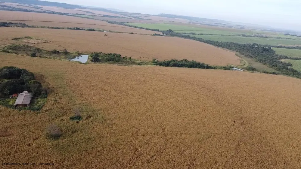 Fazenda, 252 hectares - Foto 18