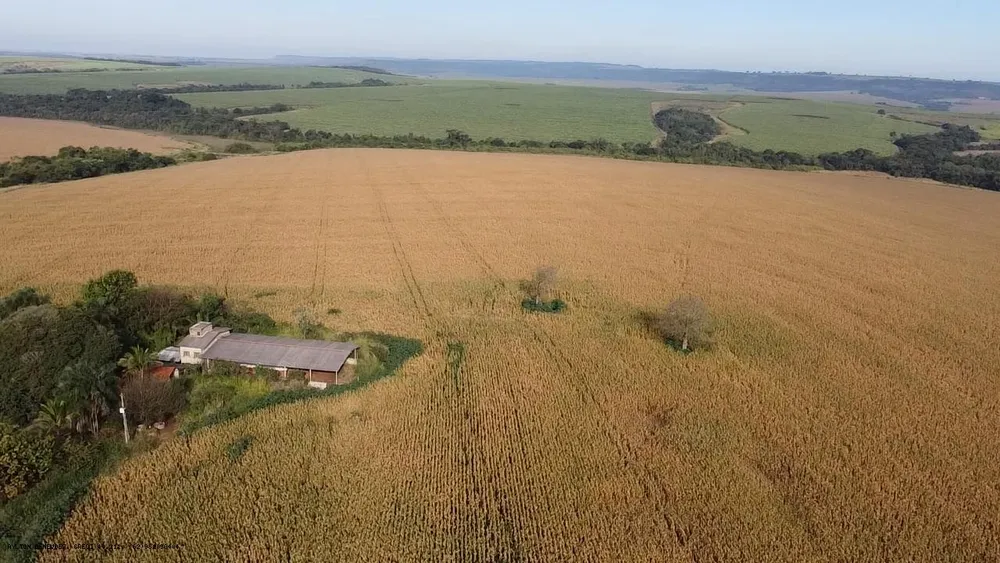 Fazenda, 252 hectares - Foto 7