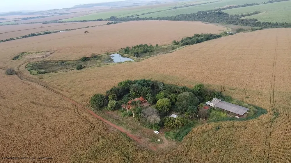 Fazenda, 252 hectares - Foto 19