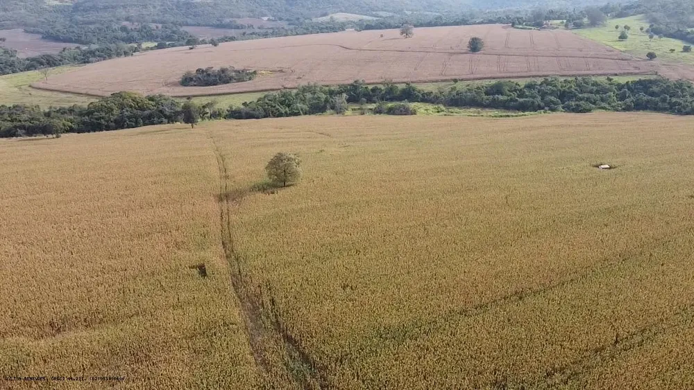 Fazenda, 252 hectares - Foto 2