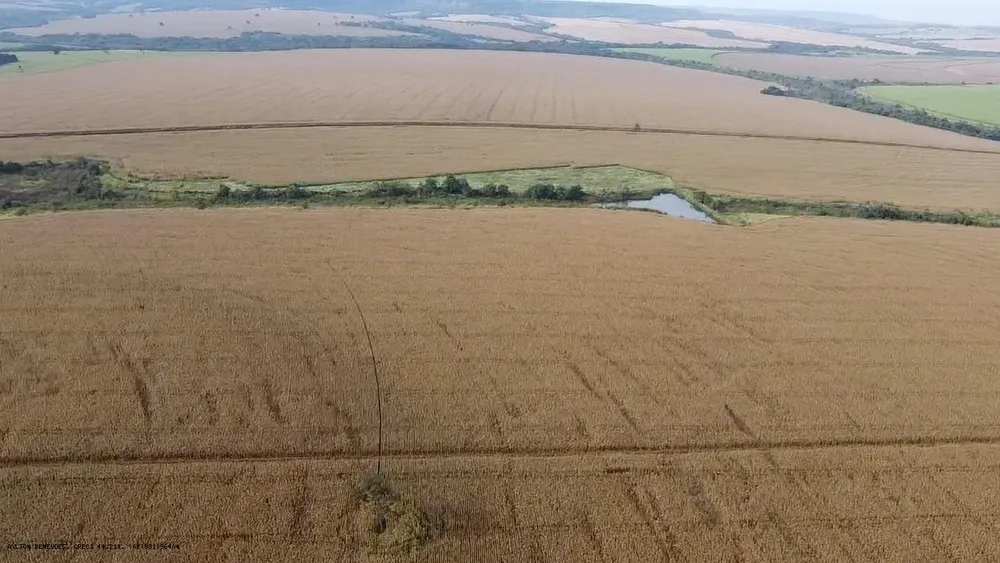 Fazenda, 252 hectares - Foto 15