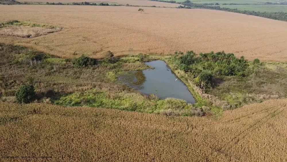 Fazenda, 252 hectares - Foto 8