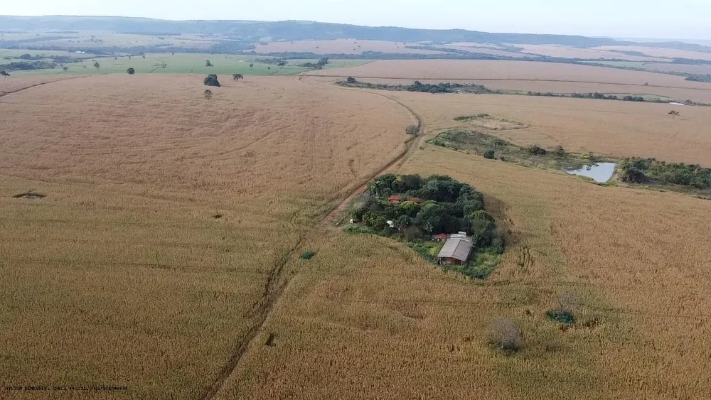 Fazenda, 252 hectares - Foto 16