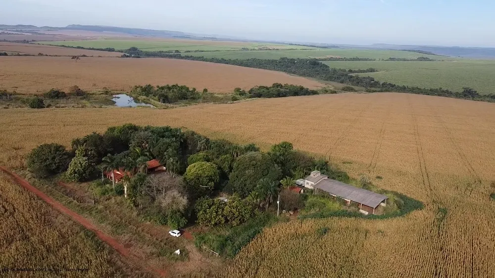 Fazenda, 252 hectares - Foto 4