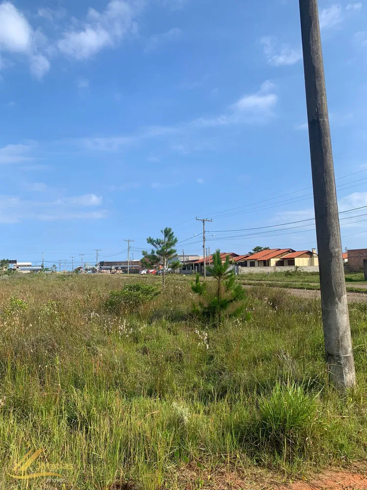 Terreno, 300 m² - Foto 5