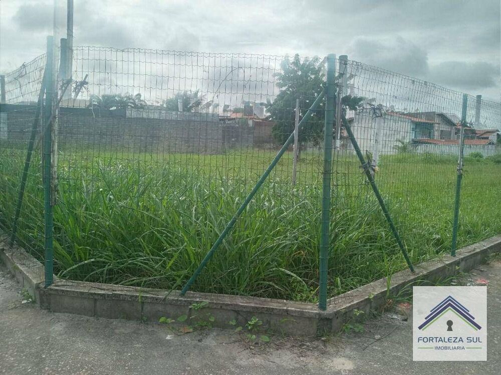 Terreno à venda, 2500M2 - Foto 3