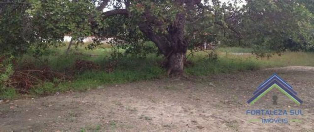 Terreno, 10000 m² - Foto 4