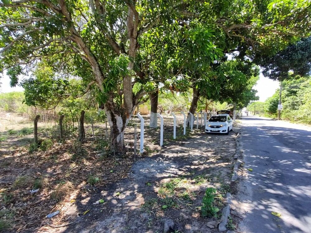 Terreno, 4 hectares - Foto 2