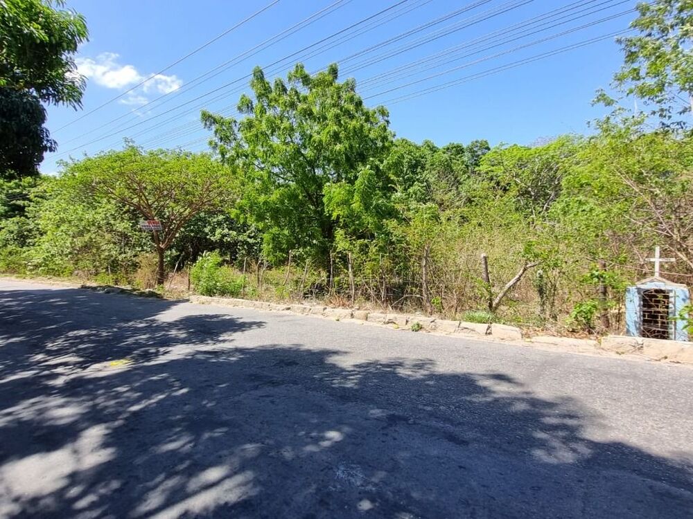 Terreno, 4 hectares - Foto 3